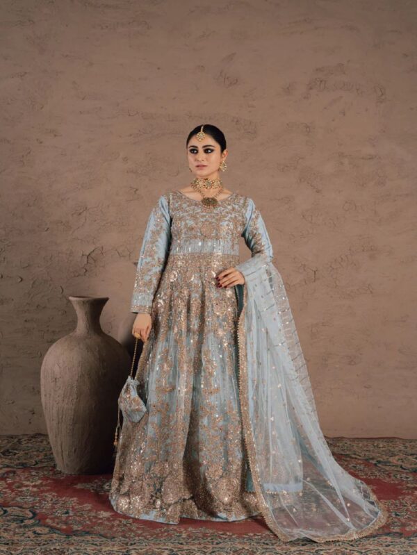 Pakistani Wedding wear Collection