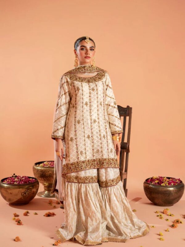 Pakistani Wedding wear Collection