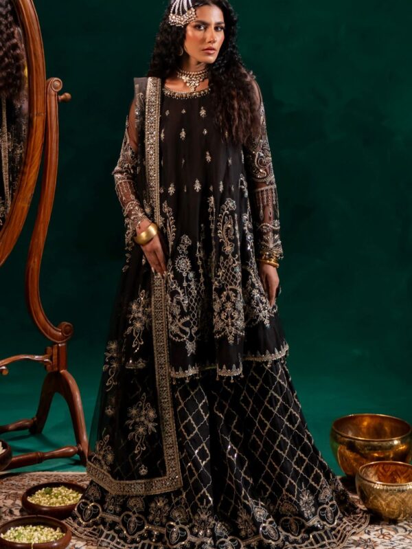 Pakistani wedding wear dresses