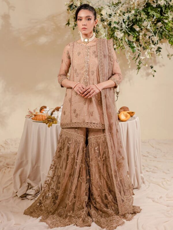 Pakistani clothes Batik