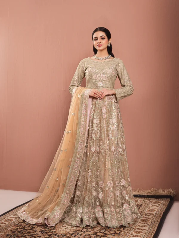 Pakistani clothes By Haseen's