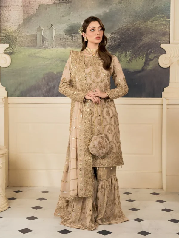 Wedding/Guest Wear - Formal By Haseens