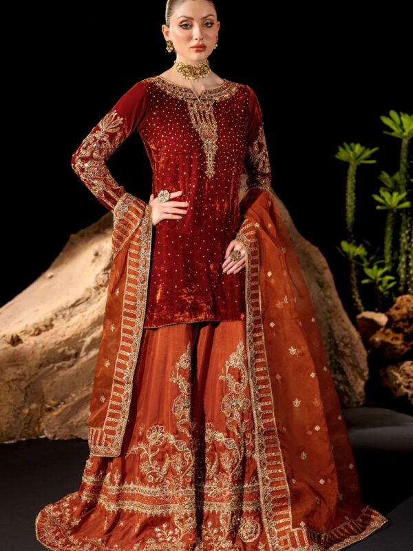 Luxury Velvet Dress By Naqshi