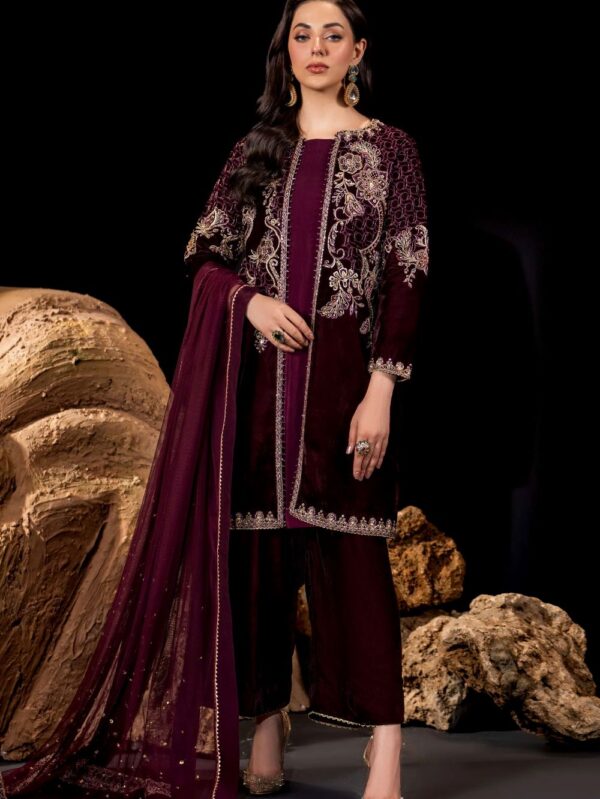Luxury Velvet Dress By Naqshi