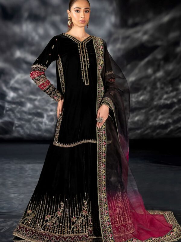 Luxury Velvet Dress By Naqshi