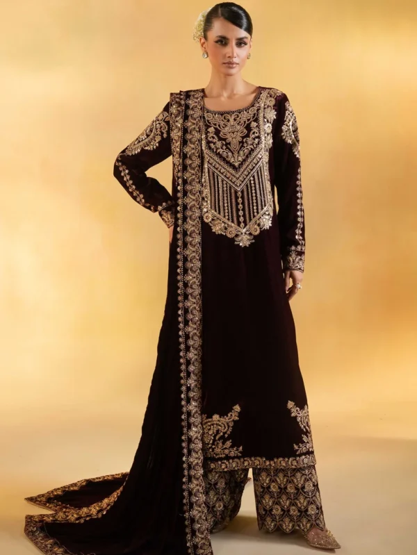 Embroidered Velvet dress by MNM