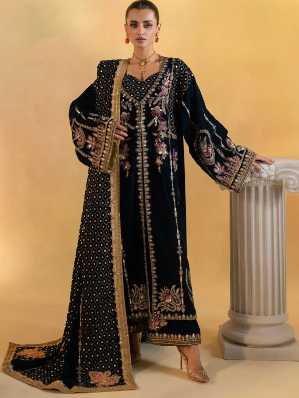 Embroidered Velvet dress by MNM