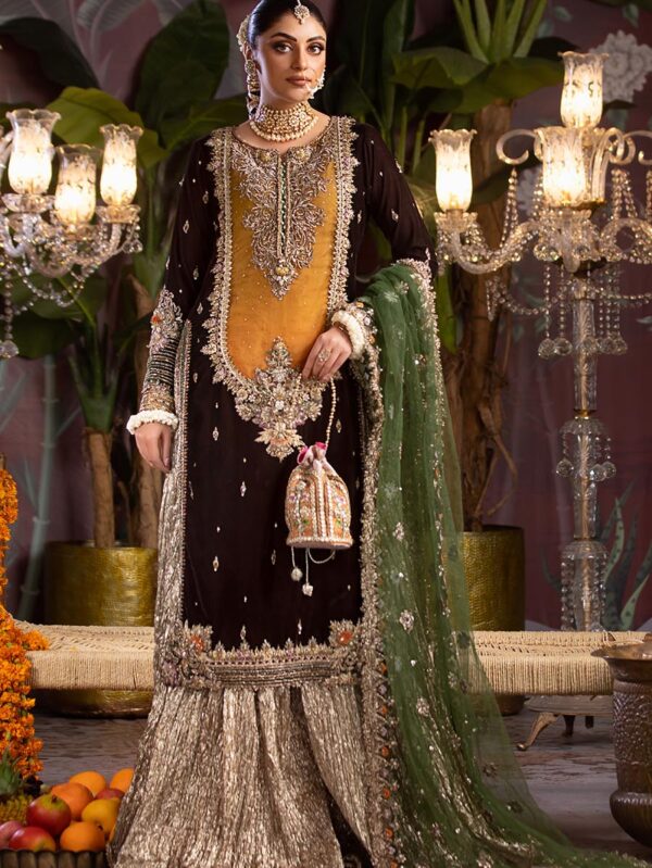 Luxury Pret Velvet Suit