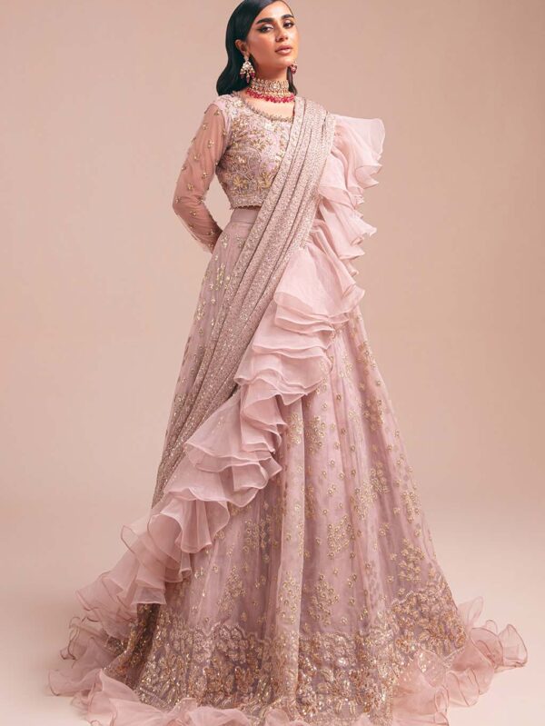 Luxury pakistani dresses online