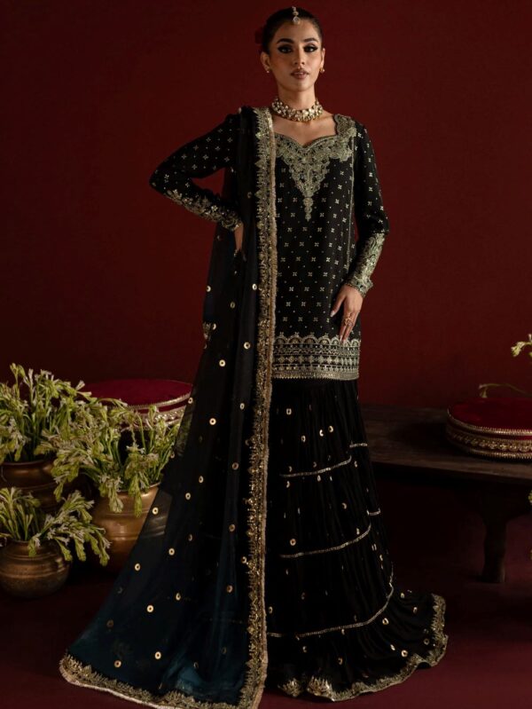 Luxury Pakistani wedding wear dresses