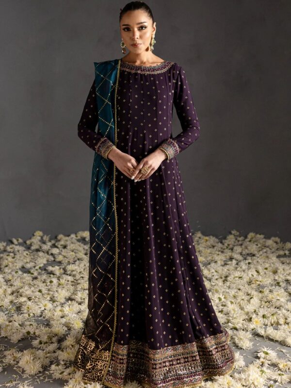 Luxury Pakistani wedding wear dresses