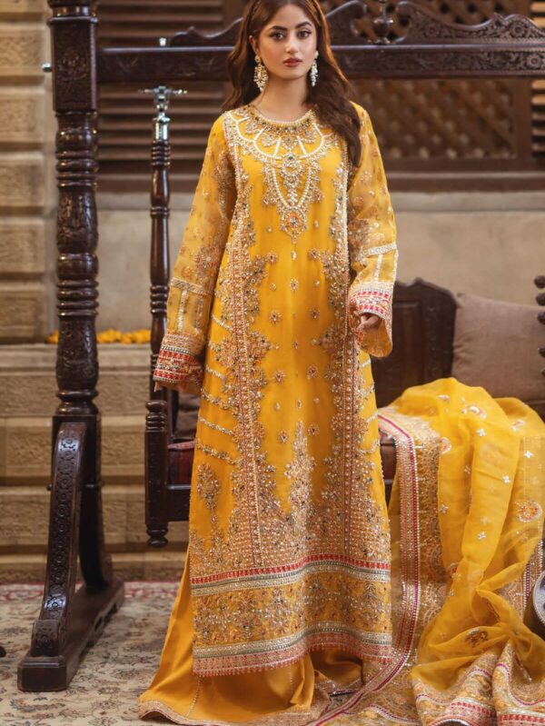 Luxury embroidered Dress