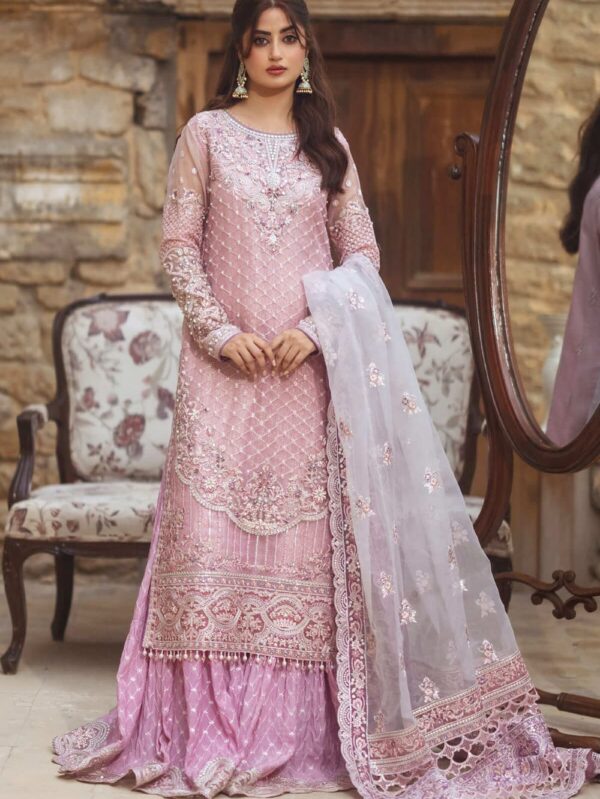 Luxury embroidered Dress