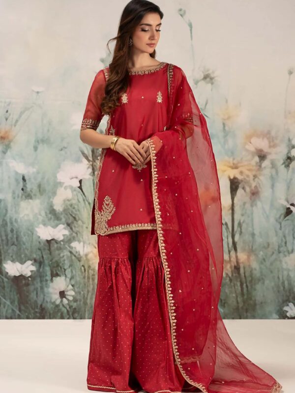 3 Piece Embroidered Lawn Suit | DW-EF25-102