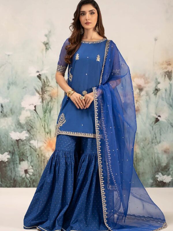 3 Piece Embroidered Lawn Suit | DW-EF25-102