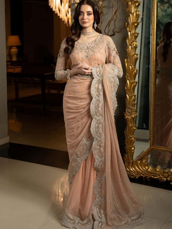 Embroidered Chiffon Saree | SF-EF25-38