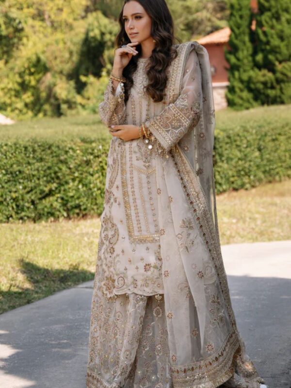 Luxury Pakistani wedding wear dresses