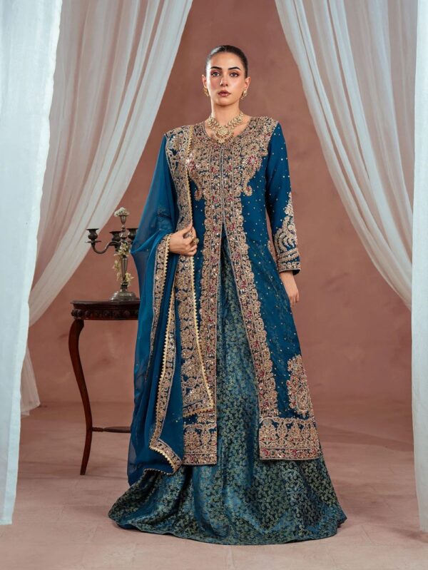 luxury formal pakistani clothes