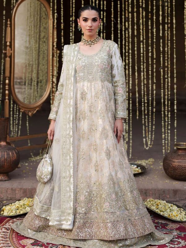 Luxury Pakistani Haseens dress