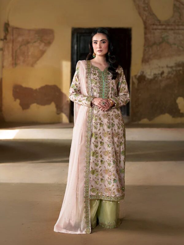 Luxury Pakistani clothes