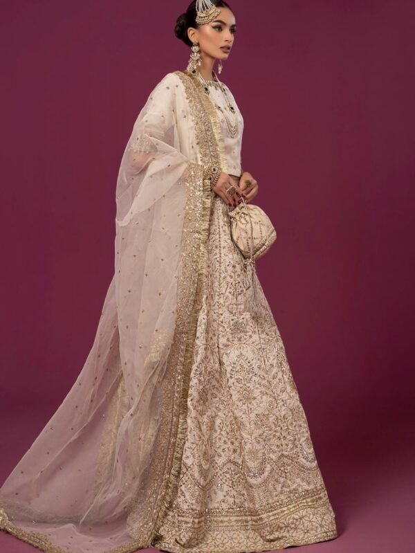 Luxury pakistani clothes online