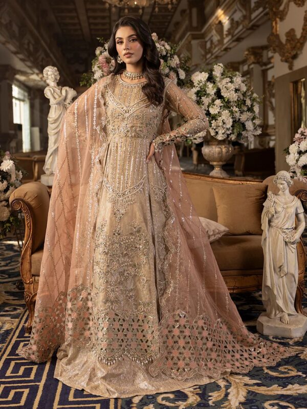 Pakistani Formal and Wedding wear in UK online