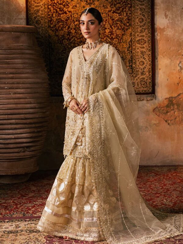Pakistani Formal Dresses by Ally's in UK Online