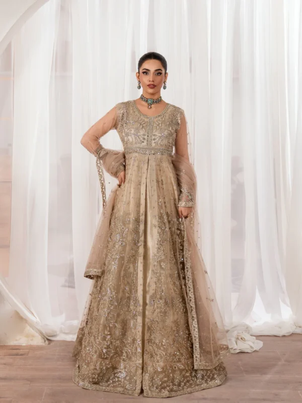 Pakistani Formal dresses in UK online