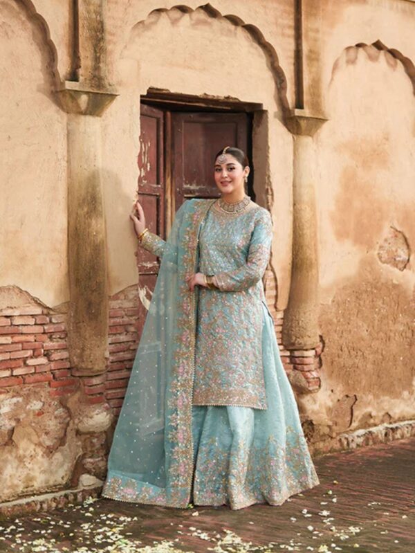 Haseens official luxury dresses in UK online