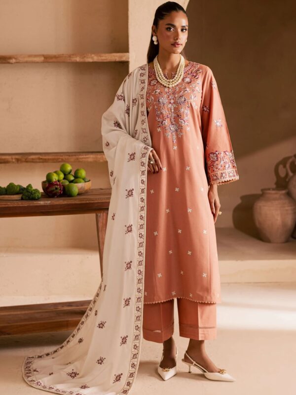 Pakistani Formal and party wear dresses in UK online