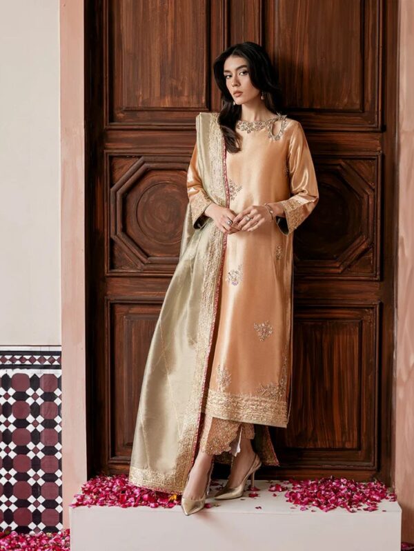 Pakistani Formal dresses in UK online
