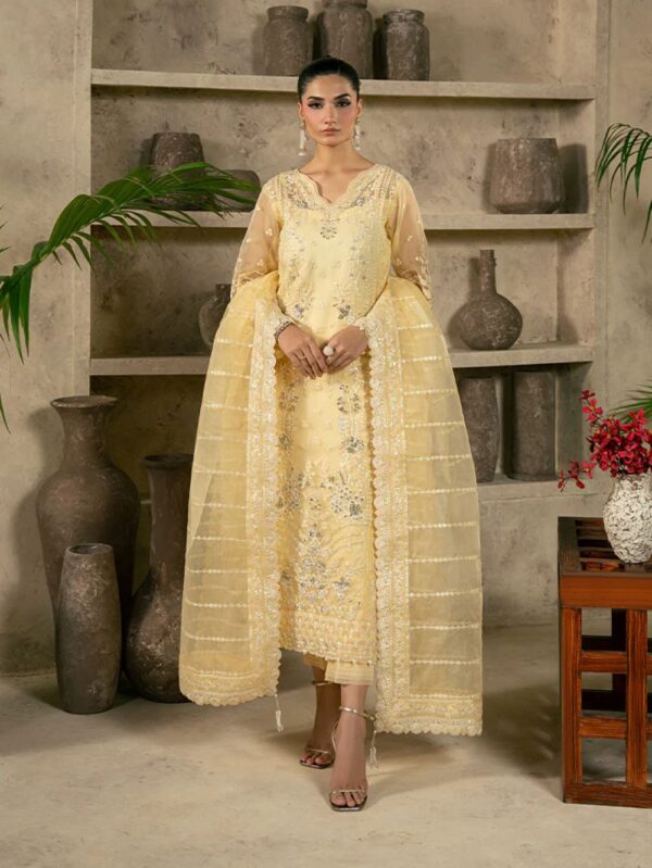 Pakistani Formal dresses in UK online