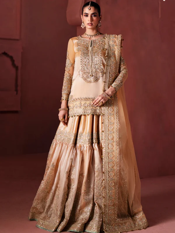 Pakistani Formal dresses by MNM in UK online