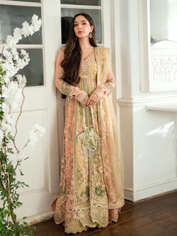 Pakistani Formal dresses in UK online