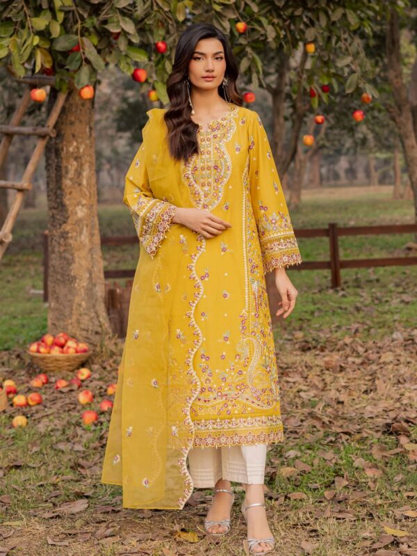 Pakistani Luxury dresses in UK online