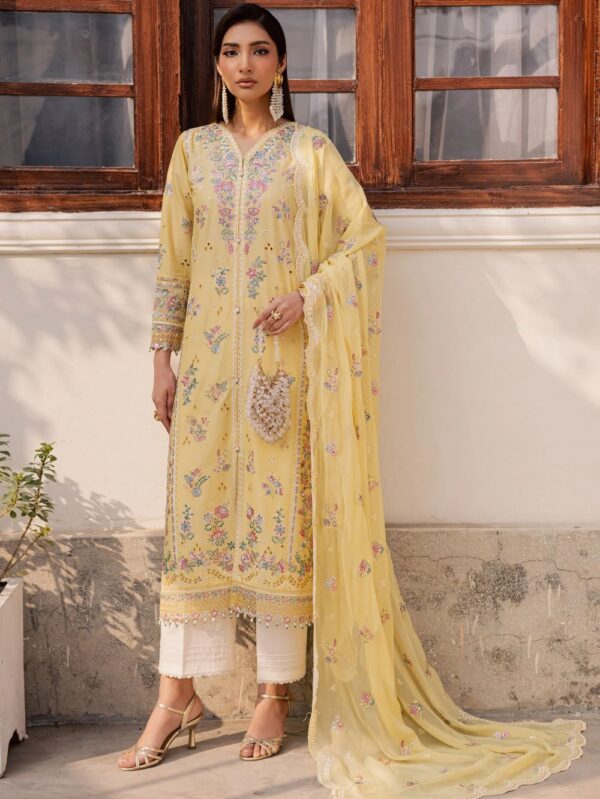 Pakistani Luxury dresses in UK online