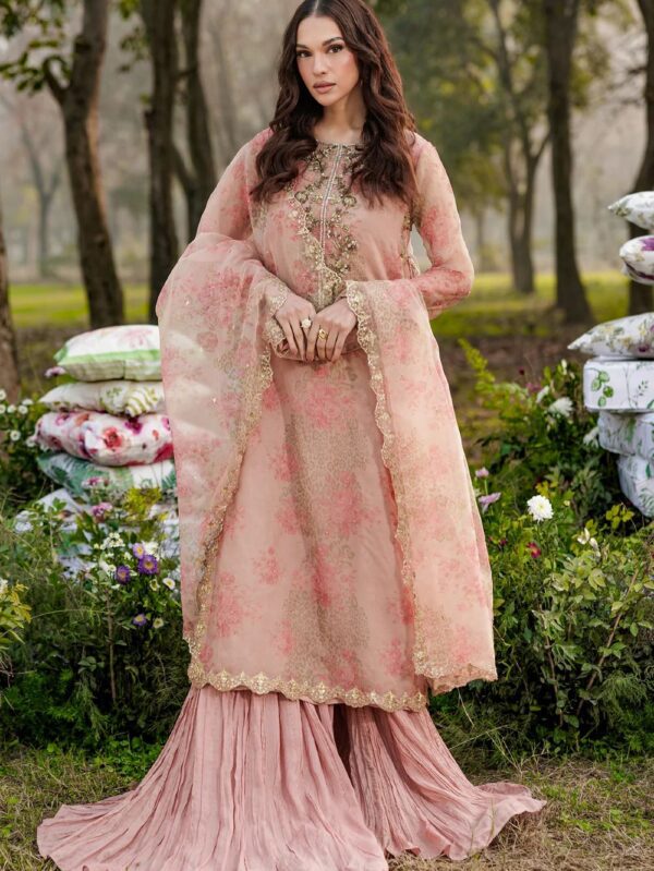 pakistani luxury dresses in uk online