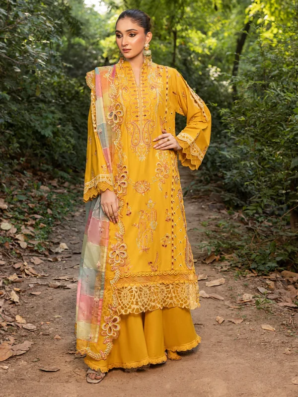 pakistani luxury dresses in uk online