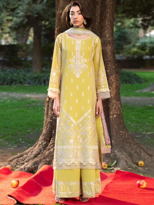 pakistani luxury dresses in uk online