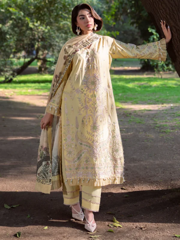 pakistani luxury dresses in uk online