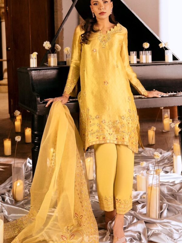 pakistani luxury dresses festive collection in uk online