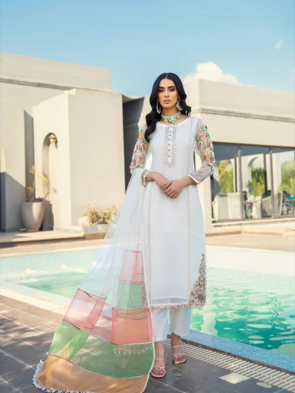 pakistani luxury dresses in uk online