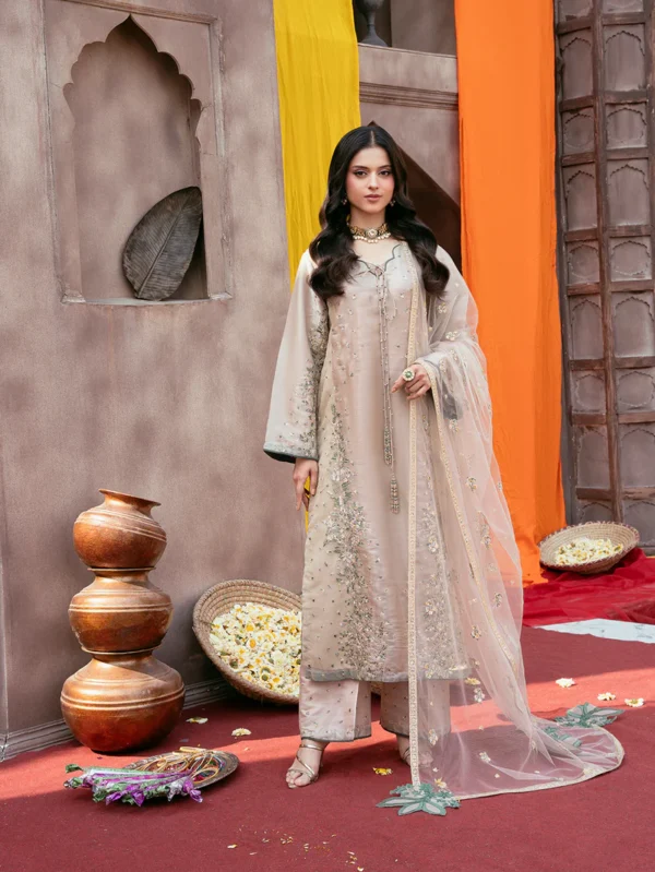 Luxury Festive Pakistani Collection