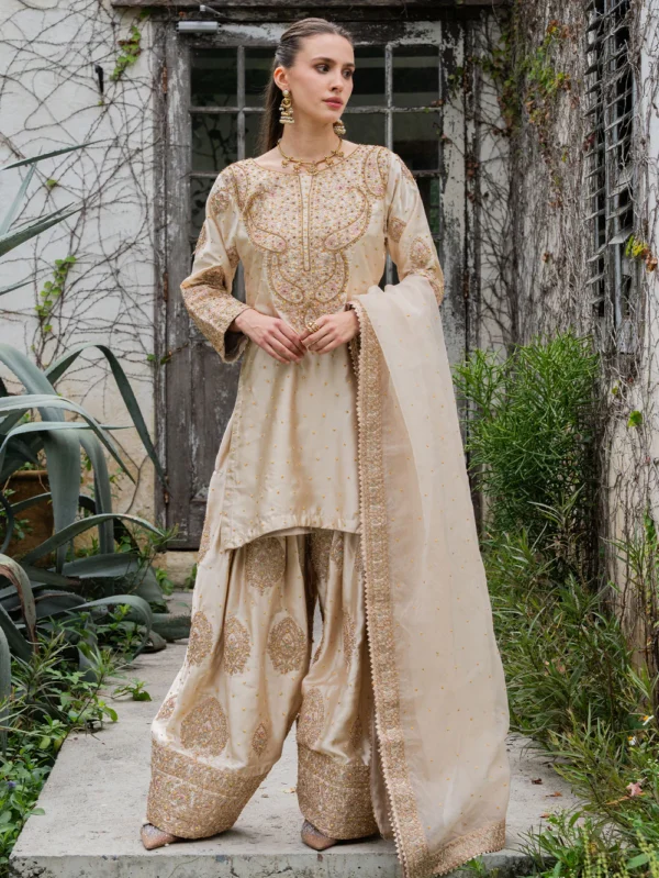 Pakistani Luxury dresses Festive collection in UK online