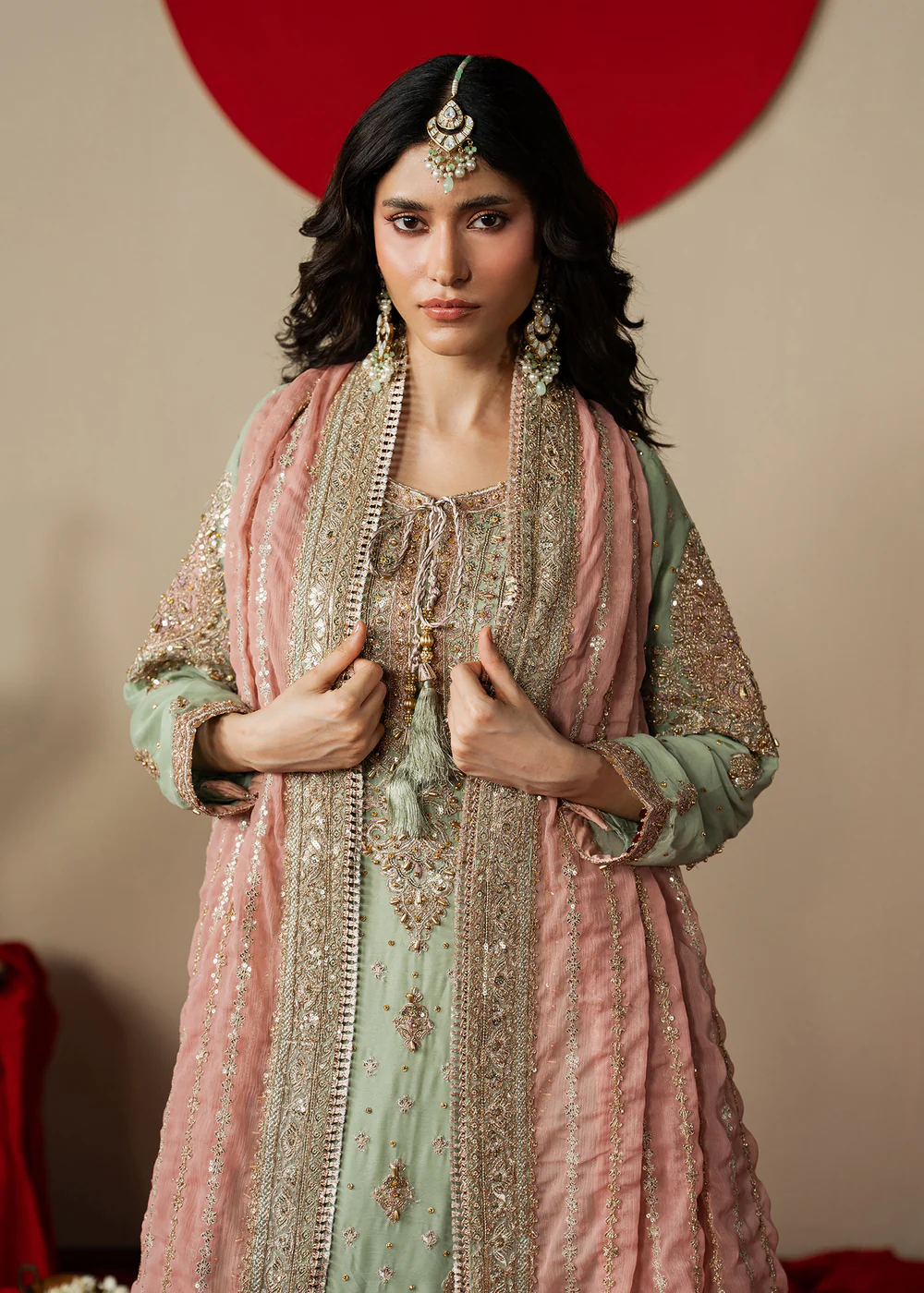 Haseens Official | Mahroza- Straight kurta| Festive/Party Wear - Image 3