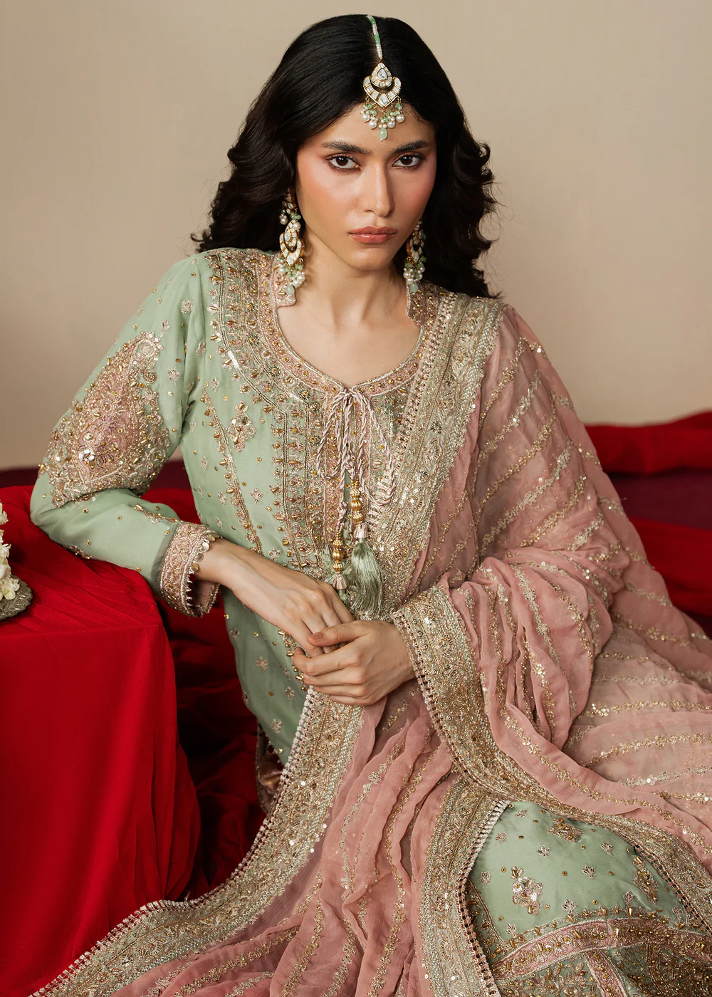 Haseens Official | Mahroza- Straight kurta| Festive/Party Wear - Image 6