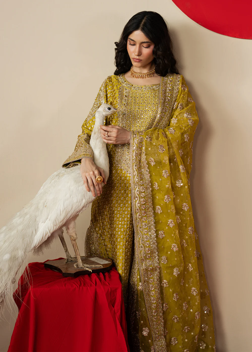 Haseens Official | Zarqam - Straight kurta| Festive/Party Wear - Image 2