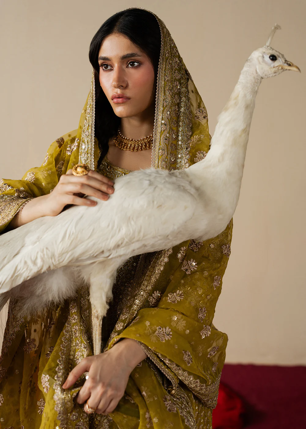 Haseens Official | Zarqam - Straight kurta| Festive/Party Wear - Image 3