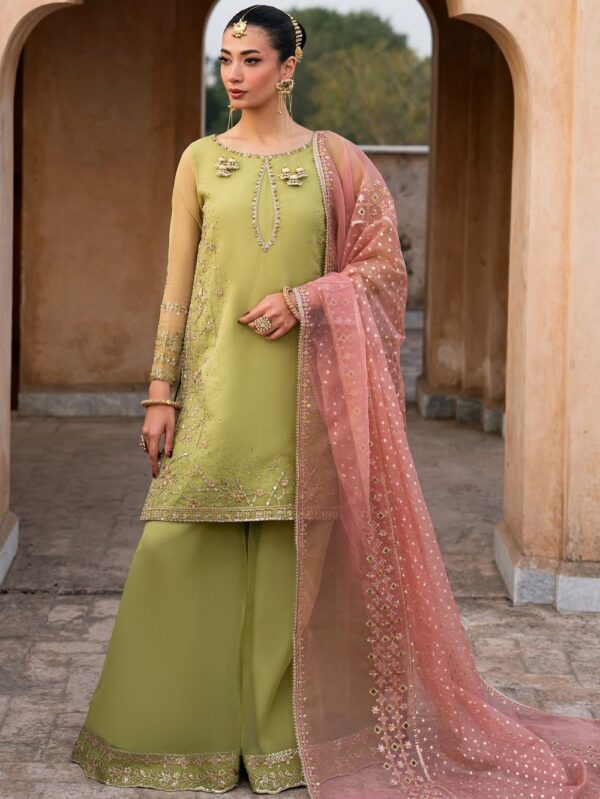 Pakistani Luxury dresses Festive collection in UK online