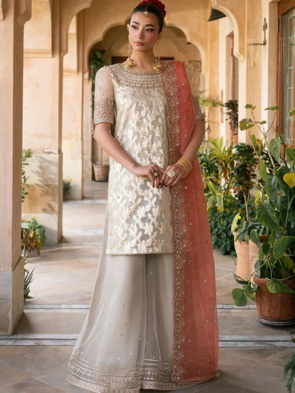 Pakistani Luxury dresses Festive collection in UK online